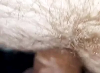 Latino Does a Casting Call and Gets a Deep Penetration in His Hairy Ass!
