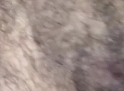 Some Fun Nipple Stuff for Titty Tuesday!