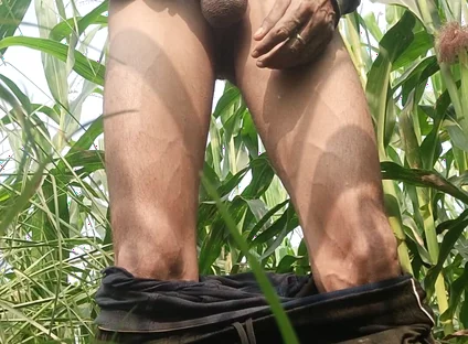 Big Cock Masturbation at Field in Outdoor