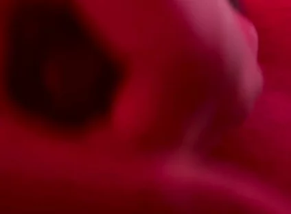 Red Golden Perish Golden Sperm Shot