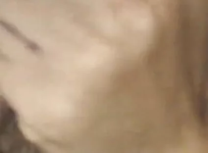 A Young Sissy Femboy Screams as a Big Cock Fills His Tight Ass with Cum!