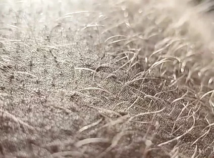 Ginger Fur