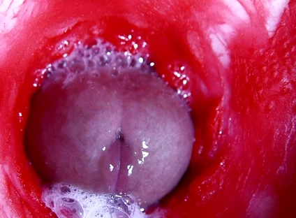 Hot Wet Sexy Hole and Sloppy Big Cock