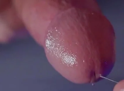 I Sucked the Cameraman's Huge Cock POV