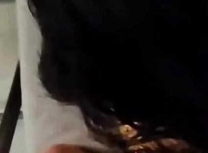 The Boy Sucks the Cock of the Mature Daddy