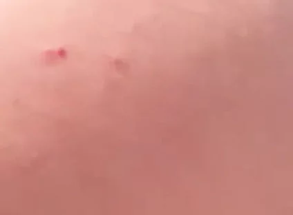 My Big Ass Is Way Better Than a Woman’s, and It Never Gets Pregnant.