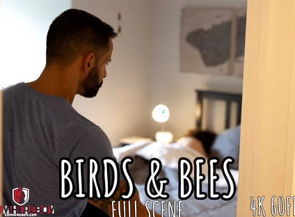 Birds and Bees - Full - David Finds Stepson Joseph Watching Gay Porn. Time for the Talk and the Dick!