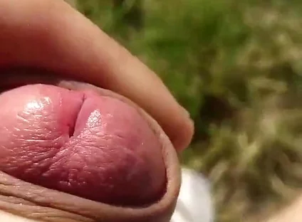 Risky Forest Wank