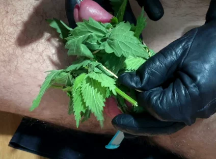 Cum with Nettles Inside Dick