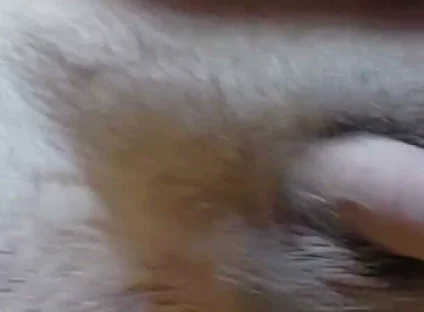I'm Waving My Cock for You