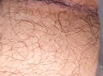 Balls and Dick Together in Mouth