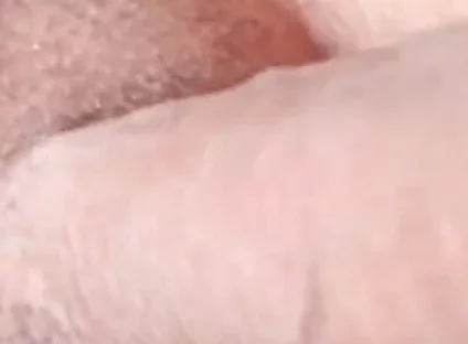 Foreskin up and Down POV