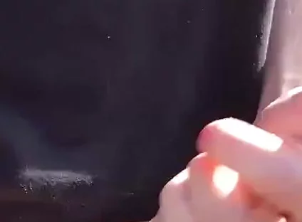 The Sunshine