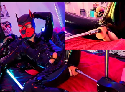 Nicolaus Rubber Show with Pet Mask
