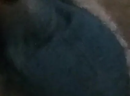 Who Wants My Dick?