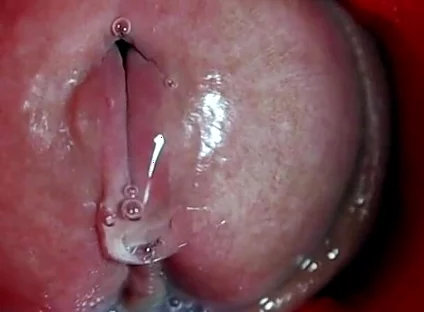 The Most Beautiful Internal Orgasm Close-up! Asmr Big Cumshot!