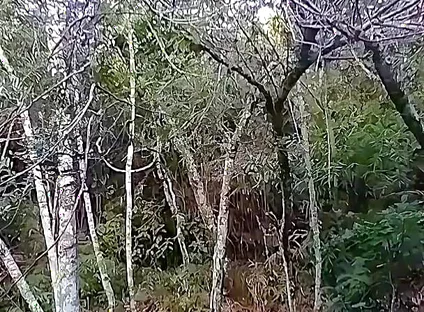 I Went to the Waterfall and Showed off Before Someone Came and Caught Me.