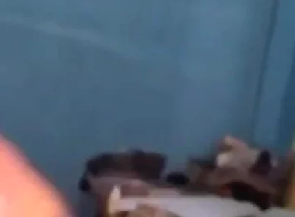 Haydenbbc Video