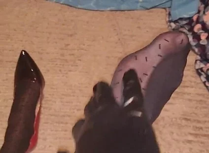 Teasing My Pattern Black Pantyhose