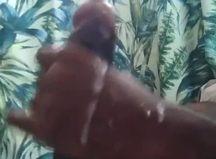 Play Time