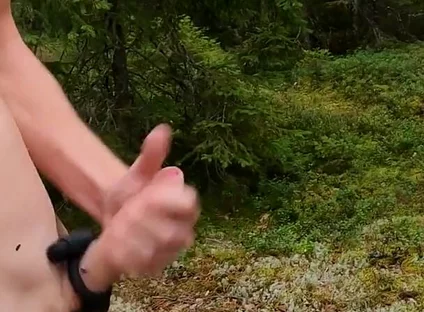 Me Against the Flies