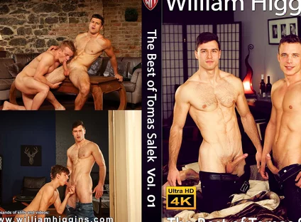 The Best of Tomas Salek Vol. 01