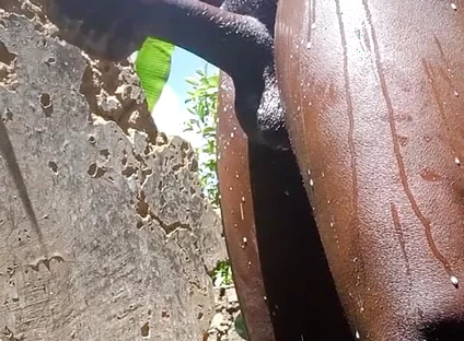 Teenfidelity Sexy Black Man Masturbating with High Intensity to Cum