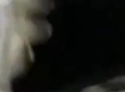 Closeup Stroking My Big Black Cock