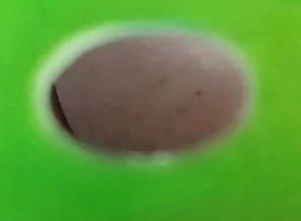You Can See My Ass Through the Holes in the Green Screen