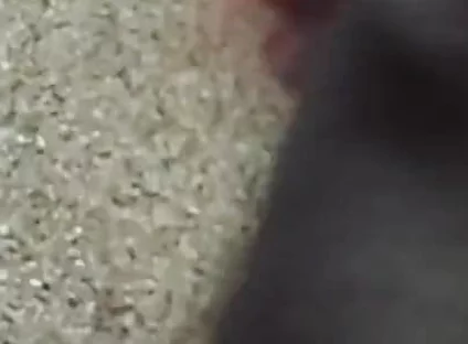 Lungi Hariy Cock Cum Licking Show
