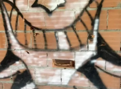 Amateur Boy Caught Bare Ass in Abandoned Building