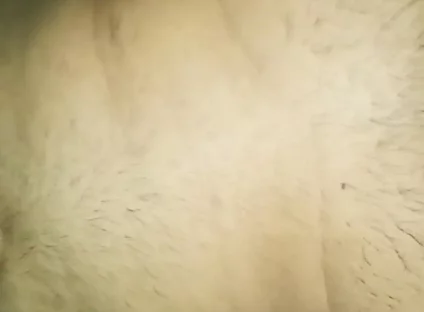 I Fucked My White Gay Friend
