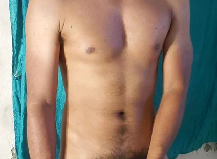 Male Stallion