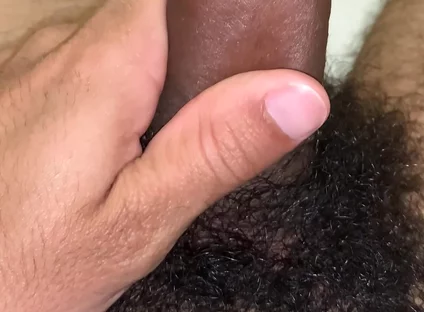 Pene Peludo Lindo
