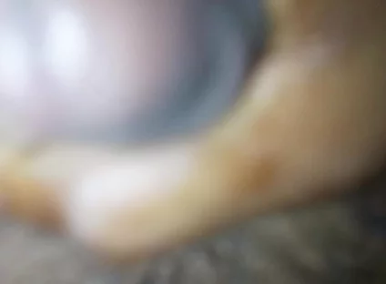 New Video