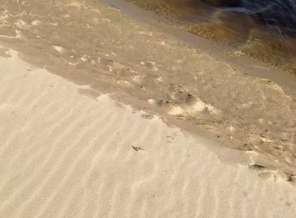 Beach Walk