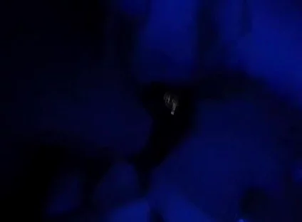 Blue Romance, Blowjob From a Sensual Blonde
