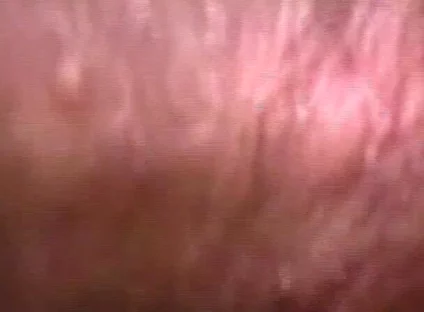 Latin Cocks Scene-3_muscular, Horny Latino Gays Want Their Asses Filled