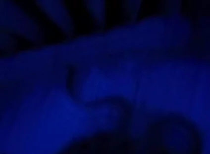 Blue Romance, Blowjob From a Sensual Blonde