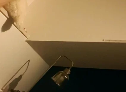 Trying the New Lights