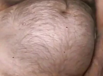 Furry Bear Coach Karl Live Cam Show
