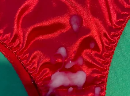 Cum on Wife’s Panties 15
