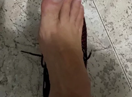 Pies Pies Pies