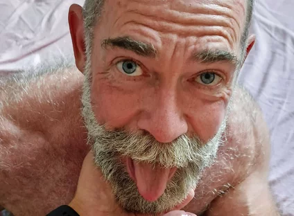 Bear Needs a Load