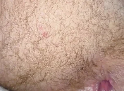 Eat My Ass and Drink My Nut
