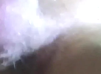 Destroyed by a 26cm Cock