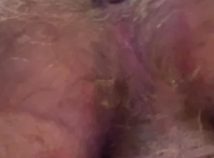 Showing off My Ass Hole