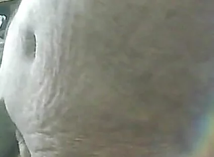 Cumshot & Jerking off