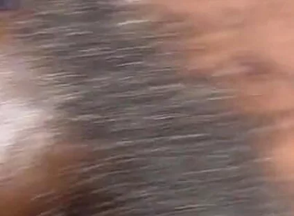 Femboy Fuck Big Pussy Cream