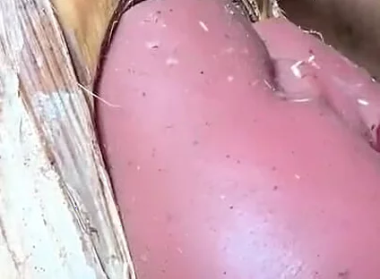 The Prisoner Find Hard Way to Sex